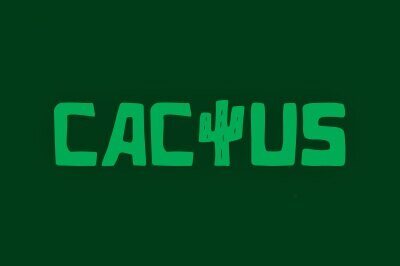 cactus casino